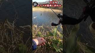 ダイワ ハイエンドロッドの骨折する音が気持ち良すぎて鳥肌が止まらない(DAIWA/モアザンAGS810MB）#Shorts