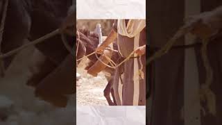 Why The Donkey Has A Cross on Its Back! #jesus