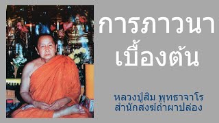 การภาวนาเบื้องต้น พระญาณสิทธาจารย์ (หลวงปู่สิม พุทธาจาโร)