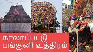 காலாப்பட்டு முருகன் கோயில் பங்குனி உத்திரம் திருநாள்