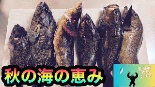 今夜のおかずを釣りに来た！