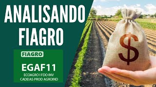 ANALISANDO O FIAGRO \