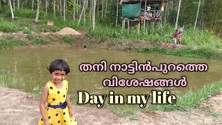 ഇന്നത്തെ ദിവസം ഇങ്ങനെയും കടന്നുപോയ് | Day in my life | Village lifestyle | Bathery Kitchen❤️