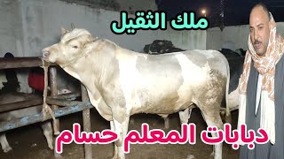 دبابات ملك الثقيل ( سوق المواشي بدمنهور) اسعار العجول البقري اللحم 2/ 2/ 2025