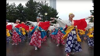 ◆ほにや泉州えぇじゃないか祭り2017.10.15