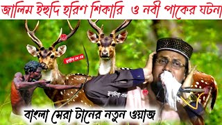 জালিম ইহুদি হরিণ শিকারি  ও নবী। Pirzada Aftab Uddin Bokhari পীরজাদা আফতাব উদ্দিন বোখারী জলসা ওয়াজ।