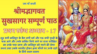 श्रीमद्भागवत सुखसागर प्रथम स्कंध अध्याय - 17| Sukhsagar |Sukhsagar katha| Sukhsagar skandh1 adhyay17