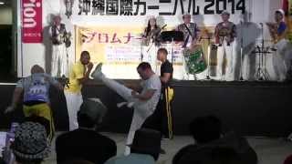 沖縄サンバカーニバルステージ 2014 CAPOEIRA ACADEMY