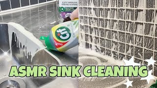 ASMR Sudsy Sink Cleaning Sensation! 🧼