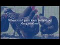 Poultry 6: What animals are tested, and where can I get more information?