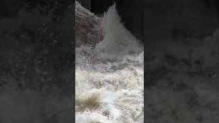 Schweres Hochwasser mit komplett offenem Wehr an der Isar, 02.06.2024