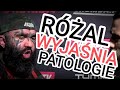 MARCIN RÓŻALSKI OSTRO WYJAŚNIA PATOLOGIĘ - ZNĘCALI SIĘ NAD PSEM #RÓŻAL #WYJASNIA #mymmapl