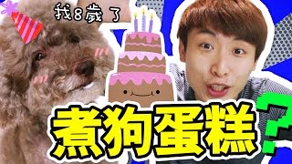 MUFFIN生日了！试吃亲手煮的「狗蛋糕」？