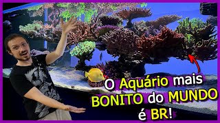 Encontrei o Aquário Marinho mais BONITO do MUNDO! - Recebeu Prêmio Mundial e é BR!