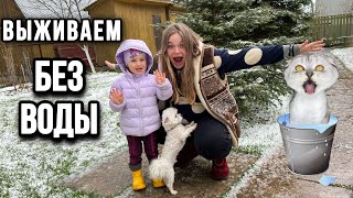 влог: ВЫЖИВАЕМ НА ДАЧЕ С КОТАМИ БЕЗ ВОДЫ В ХОЛОД! У БИЛЛИ ПАНИКА!