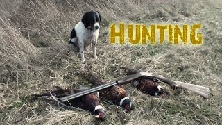 Planting and Hunting Pheasants