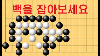 바둑 묘수 사활 - 기가 막힌 수가 있습니다. 백을 잡아보세요