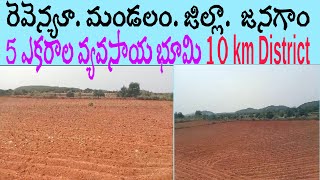 5 ఎకరాల వ్యవసాయ భూమి. 10 km District... Village కి దగ్గరలో. #srinivasagriculturelands