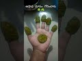 Ashada Masam Gorintaku 🍀☘️ #ytshorts #viral #family #gorintaku_design #ashadam#shortvideo #shorts