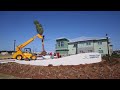 A palm tree is planted at the new Panama City Beach Administration building on Monday.