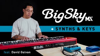 Strymon BigSky MX + Synths and Keys