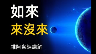 雜阿含經講解15 如來來沒來 十大名號 緣起 十二因緣 神經可塑性 The Ten Names of Buddha, Dependent Origination, Twelve Causes