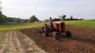 1954 Case VAC Tractor with Spring Tooth Harrow