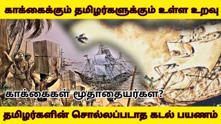 காக்கைக்கும் தமிழர்களுக்கும் உள்ள உறவு || தமிழர்களின் சொல்லப்படாத கடல் பயணம்||காக்கைகள் மூதாதையர்கள்