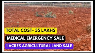 1 Acre of Prime Agricultural Land for Sale || in Kurnoo district || hyderabad- 120 km