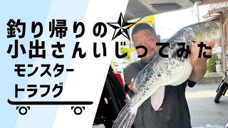 【モンスタートラフグ釣った人いじってみた 】トラフグ/伊勢湾ジギング/ジギング/オフショア/SLJ/伊勢湾/ガレージワン/タイラバ