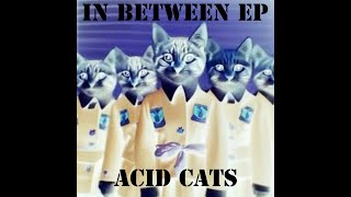 Acid Cats -- Clunge