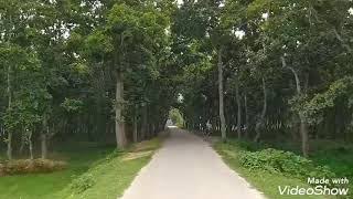 Elegant Beauty Of Shalban, Dinajpur | Beauty Of Bangladesh