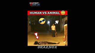 POV:-HUMAN VS ANIMAL 👊👻|| hanuman | #hanumanji #bajrangbali #ghost #prank #viral #video
