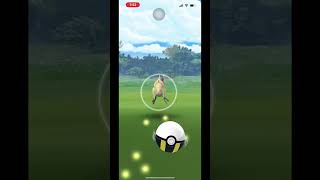 【ポケモンGO】ドン・キホーテのパートナーリサーチをクリアしました#shorts