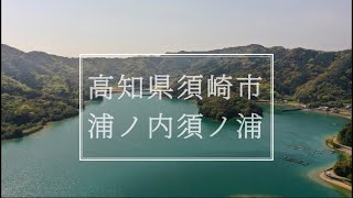 須崎市浦ノ内須ノ浦