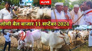 बुधवार लोणी बैल बाजार live 🔴 11 सप्टेंबर 2024 || Loni Bail Bajar #लोणी #बैलबाजार