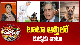 Ratan Tata Properties | టాటా ఆస్తిలో కుక్కకు వాటా | Patas News | 10TV News