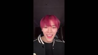 eng) taeyong vs perilla leaf debate 🍃 | Taeyong Instagram Live