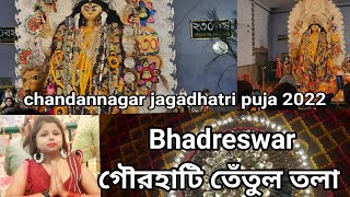 Bhadreswar গৌরহাটি তেঁতুলতলা বুড়ি মা |chandannagar jagadhatri puja2022|Pampa Queen Vlogs