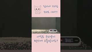 메디펫 퓨리샌드 라이트 소개