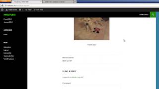 How to Manage, Edit, and Create Pages and Posts in WordPress