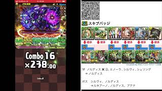 龍契士コロシアム【パズドラ】龍契士リーダー正月ノルディス　2024.11