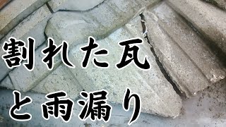 【DIY】屋根の雨漏り修理をします