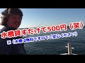 【フグ釣り】急げ 明石で只今爆釣中 【ショウサイフグ】【カットウ釣り】【海蓮丸】