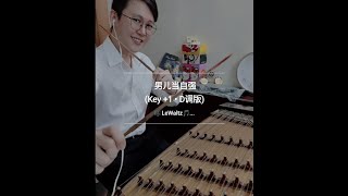 《男儿当自强》- 林子祥 • LW扬琴翻演 YangQin Cover - D调版 |【LeWaltzMusic】