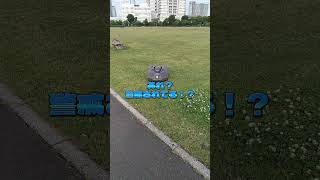 公園で見た!変なロボット⁉♯shorts