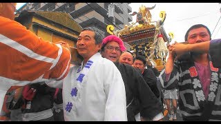 29年  浦和祭り  神輿パレード  「彩心連合 和會」迫力満点です。