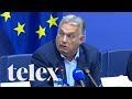 Videón, ahogy beszabadult egy DK-s önkormányzati képviselő Orbán strasbourgi sajtótájékoztatójára