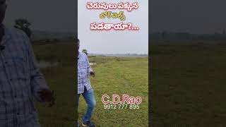 చెరువులు పక్కన బోర్ వెల్స్ పడతాయా..? #shorts #viral