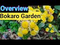 Overview of BOKARO GARDEN & Update of Cuttings